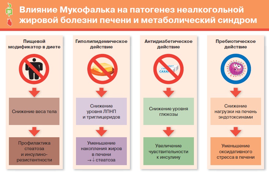 Влияние Мукофалька на патогенез неалкогольной жировой болезни печени